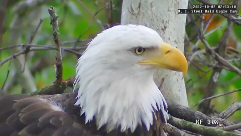 USS Eagles - Good morning from Mom