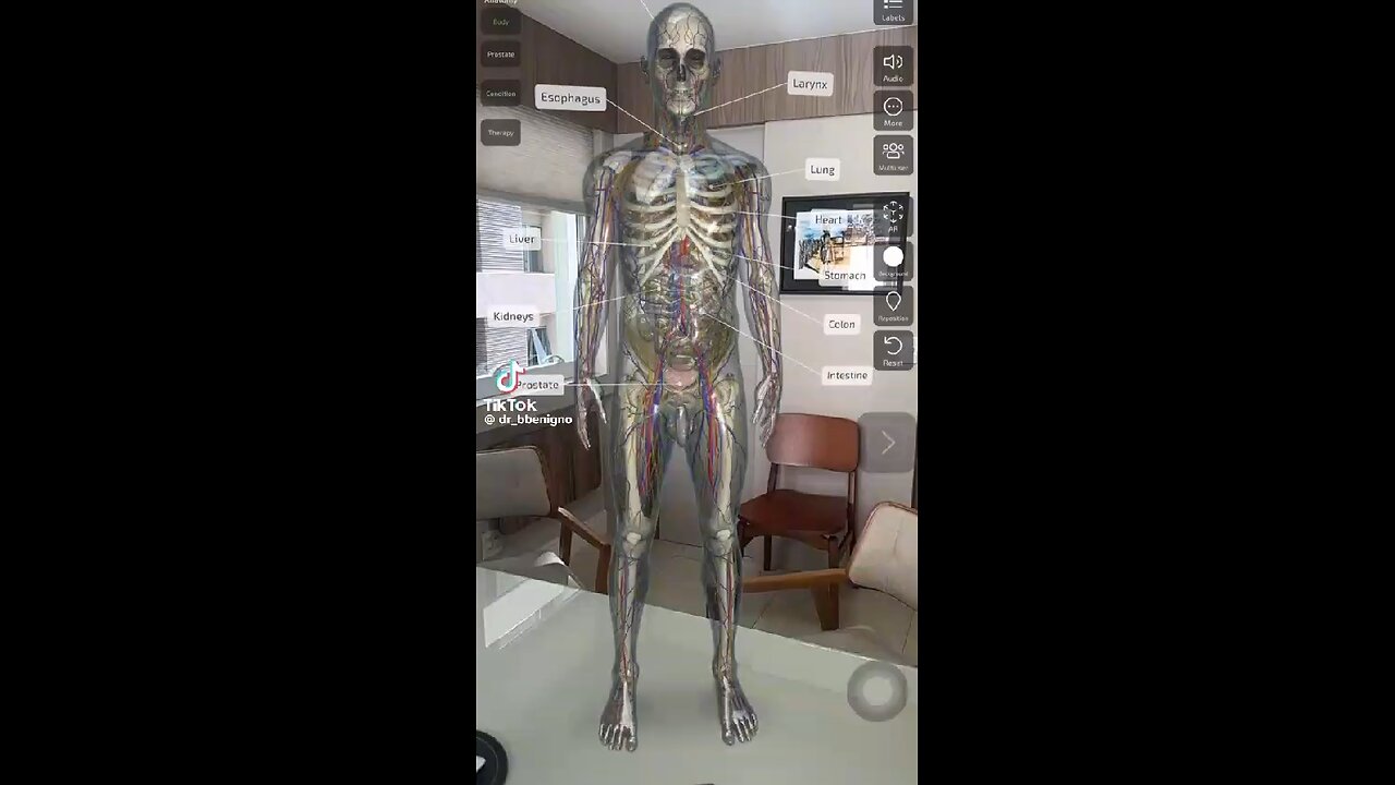 Novo software e óculos 3 D na medicina?