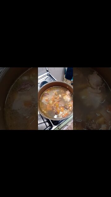 Cozido e cachorro pegando Sol! #shorts #cachorro #cozinha