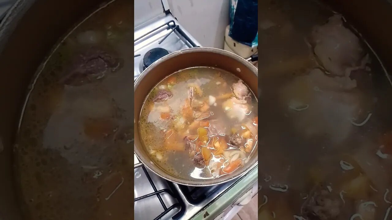 Cozido e cachorro pegando Sol! #shorts #cachorro #cozinha