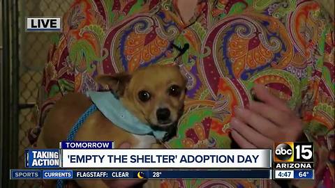 'Empty The Shelter' event this weekend looking to adopt out all pets at MCACC