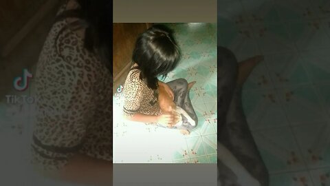 friendly cat humiga sa paa ng anak ko so sweet mingming