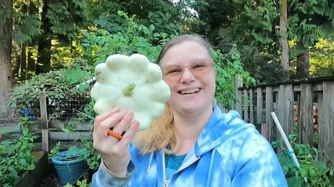 What the Storm￼ did to my garden￼#Garden tour