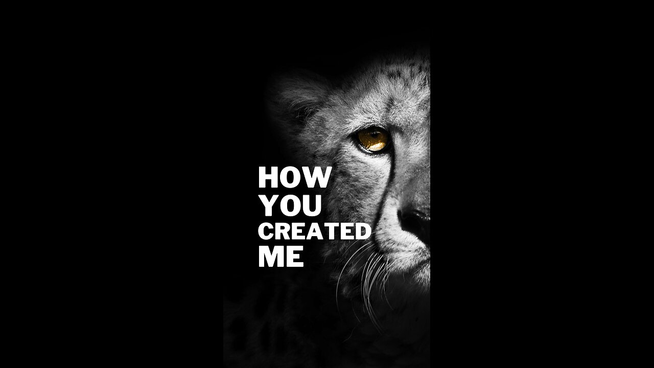 Owning My Story: Breaking Free from Labels