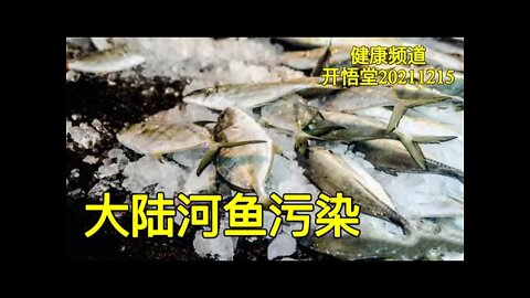 3211-大陆河鱼污染-20211215-3