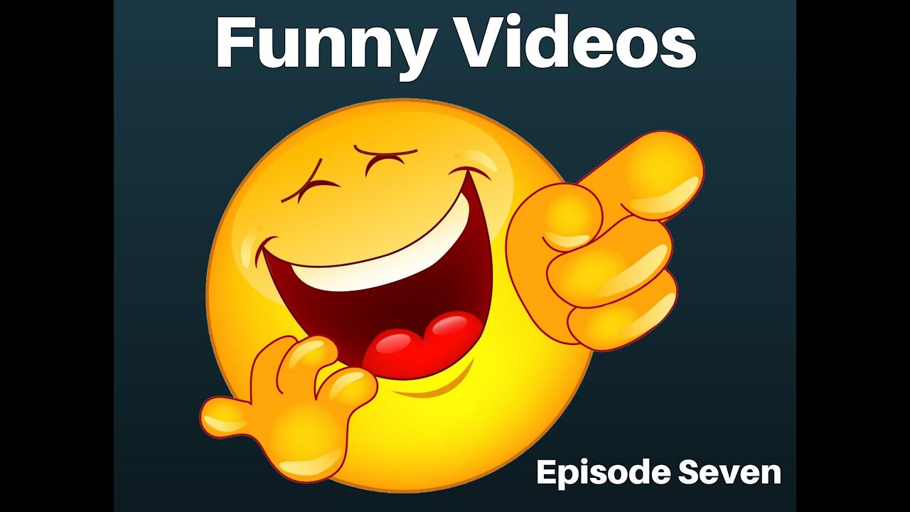 Videos in this channel are the compilation of funny viral videos