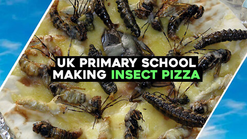 Primary School Making INSECT PIZZA / Hugo Talks