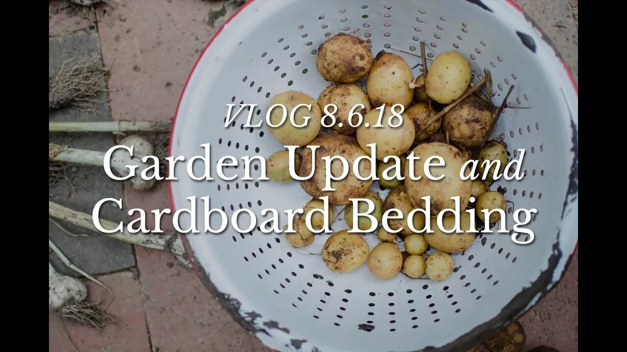 VLOG 8.6.18 | Garden Update and Cardboard Bedding