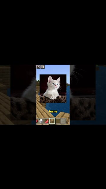 Turn Everything Into Kittens!