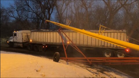 Pay Day! Shipping Out Our Organic Soybeans!