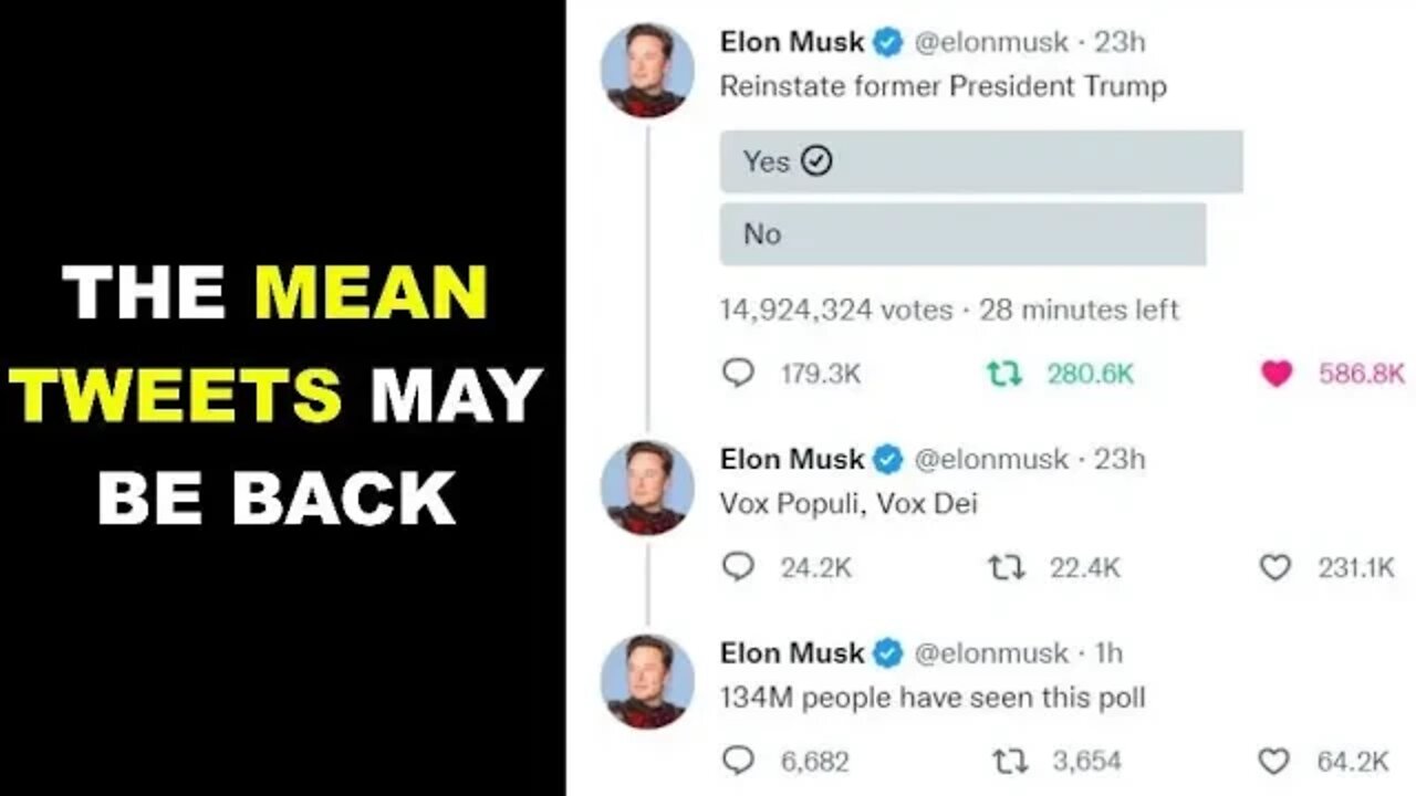Twitter Goes Crazy As Elon Does Poll To Reinstate Trump