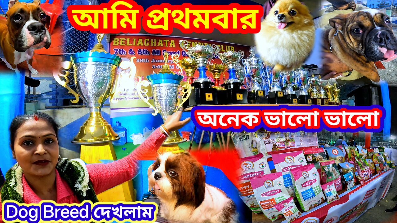 kolkata dog show 2024 || kolkata kci dog show 2024 || dog show kolkata