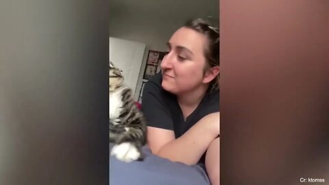 Super FUNNY CAT And THEIR OWNER VIDEOS!