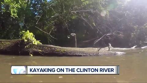 Kayaking on the Clinton River