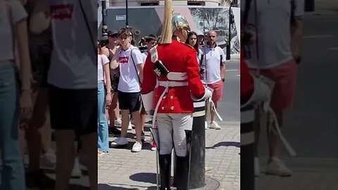 in loving memory of make way 😆 🤣 😂 #horseguardsparade