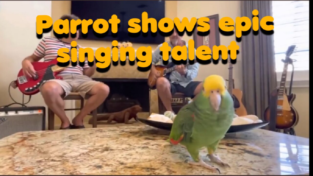 Parrot shows epic singing talent