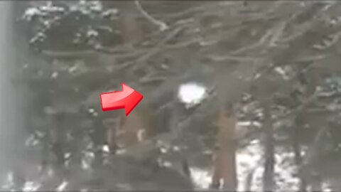 Witnessed an object outside the window that looked like a white light instead of snow [Conspiracy]