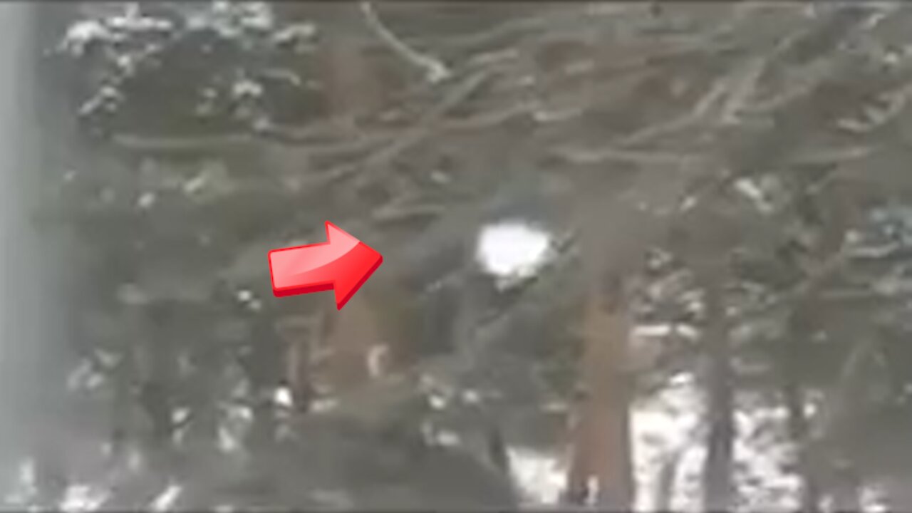 Witnessed an object outside the window that looked like a white light instead of snow [Conspiracy]