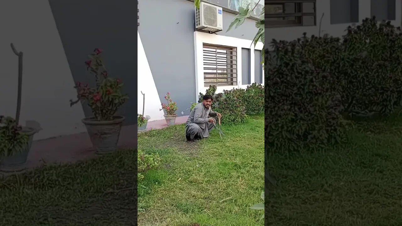 #drivingfails