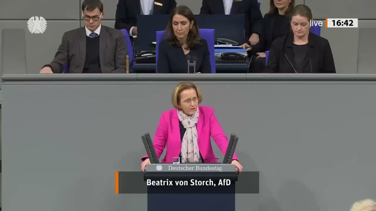 Klima-Kleber: Für diese Rede bekam Beatrix von Storch einen Ordnungsruf! AfD-Fraktion