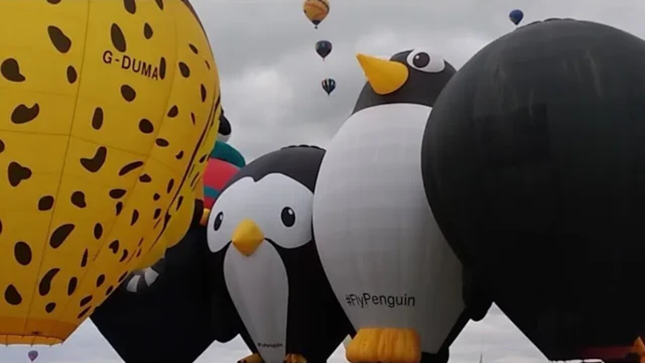 COLLECTING BALLOON CARDS AT ALBUQUERQUE BALLOON FIESTA 50TH ANNIVERSARY 2022