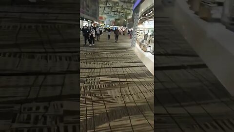 #etsukojunio #etsukofans #fransiscaofficial #teamfransisca #沉连清 #fransisca #fransiscametaworld