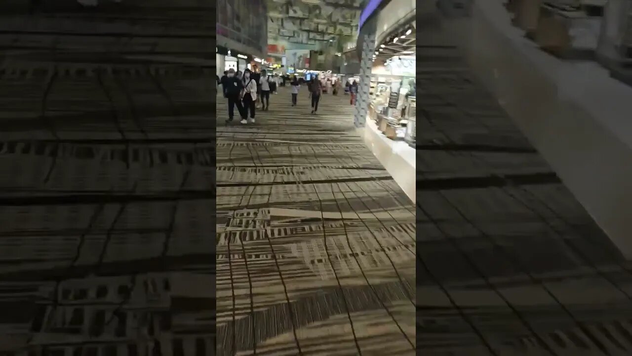 #etsukojunio #etsukofans #fransiscaofficial #teamfransisca #沉连清 #fransisca #fransiscametaworld