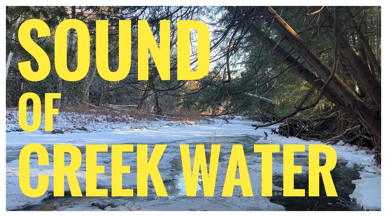 Sound of Creek Water | Greenwood Conservation Area | Ajax, ON Canada | Relaxation | Nature Sound