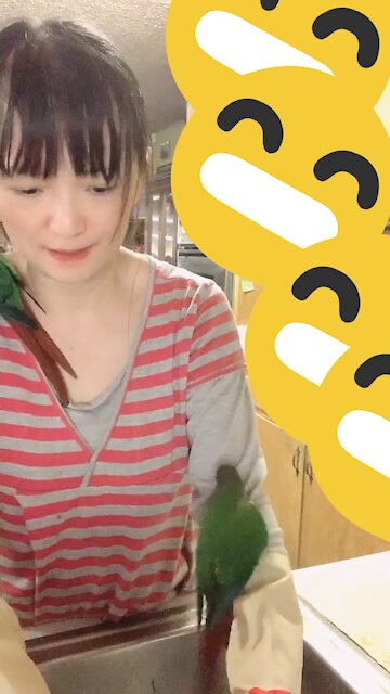 Parrot wants to do dishes