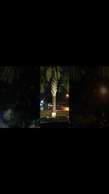 Sunday Morning Rain & Not Much Traffic