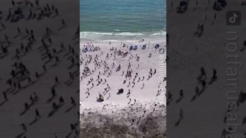 Florida residents are running away from the police arrived on the beach with a dog to find drugs.