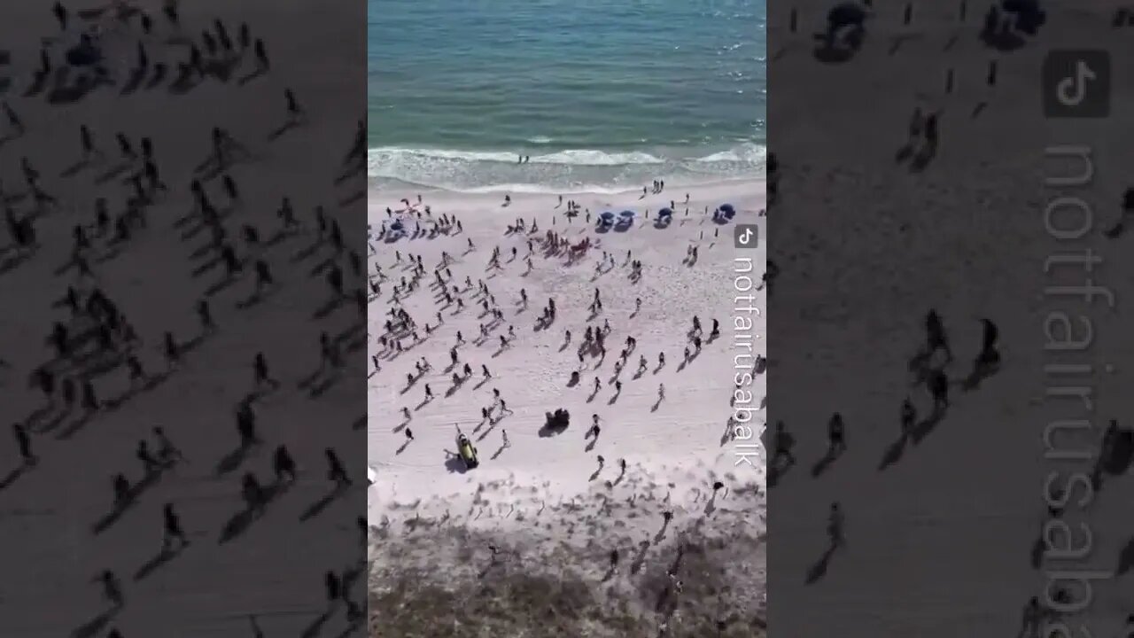 Florida residents are running away from the police arrived on the beach with a dog to find drugs.