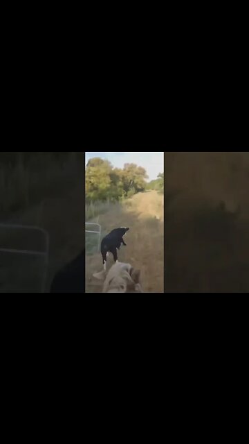 real estate requires giddy up.