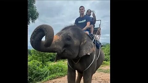 RIDING ELEPHANTS IN THAILAND IRL STREAM! | SNEAKO Live