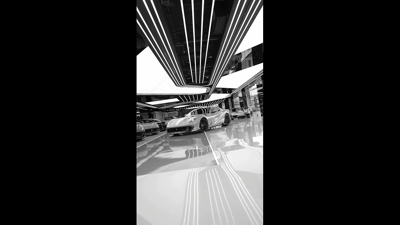 CAR Collection of 2023