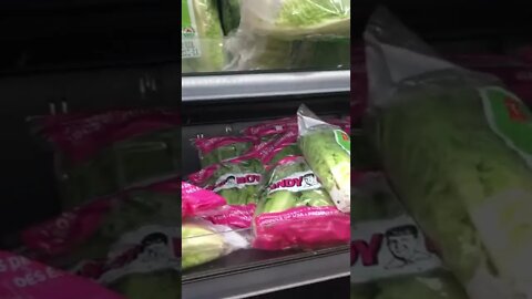 8 Dollar Lettuce
