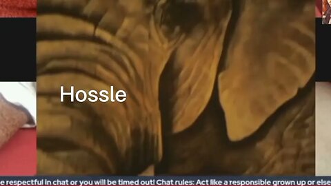 Mr. Hossle?