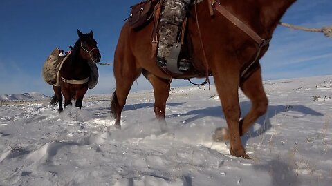 "3 Generations Involved" Wyoming Family Elk Hunt!