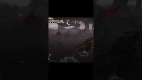 Cat tail #eldenring #eldenringhype #eldenringedit #eldenringgameplay #pros #ps5 #ps4 #fyp
