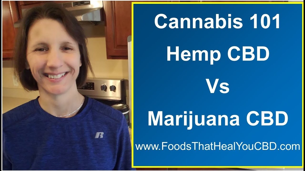 Cannabis 101 [Hemp CBD vs. Marijuana)