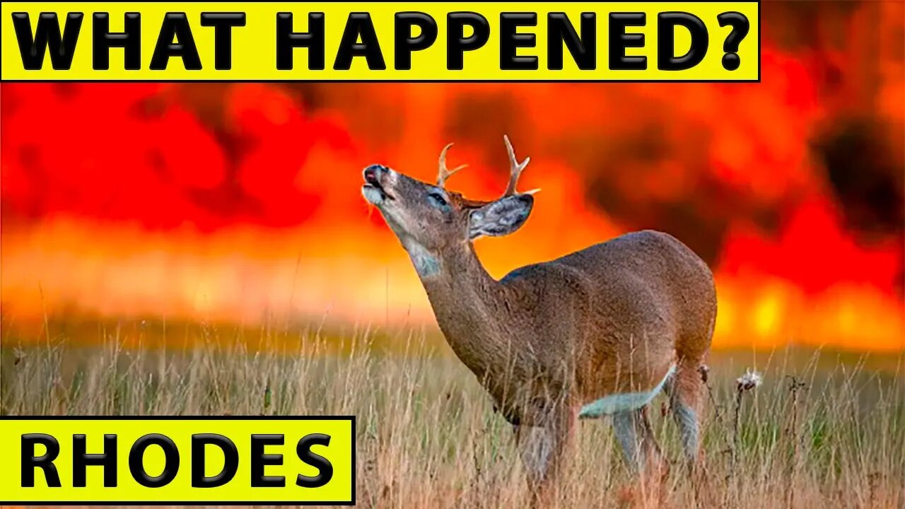 🔴War With Fires Continues in The Mediterranean!🔴Major Floods in China /Disasters On July 22-24, 2023