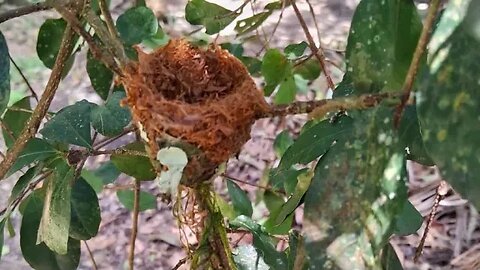 Chácara Ebenézer no mês de Dezembro de 2023