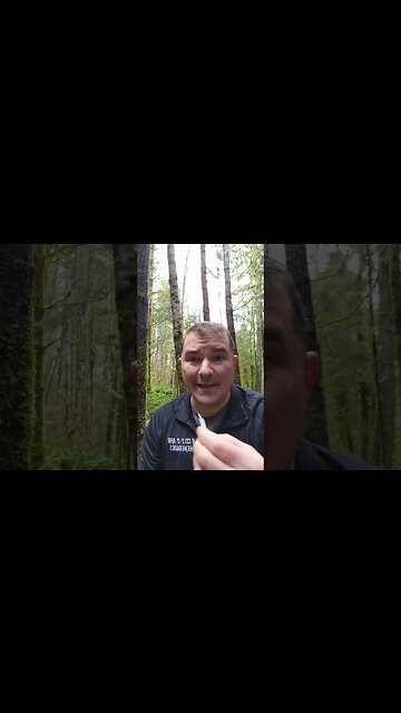 Trail cam update 3 #nocoyotes #ankersdcardreader #fidog