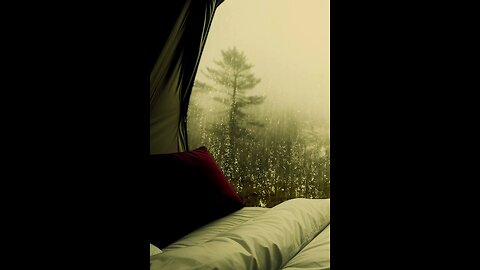 cozy rain on car rain sounds