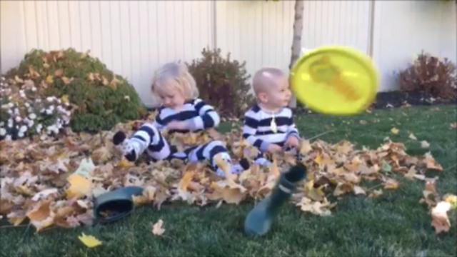 Soft frisbee nails cute kid in the head playing in the leaves... SO FUNNY!!!