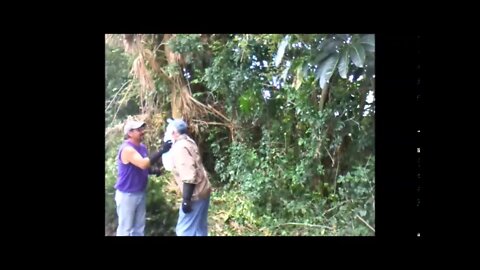 George & Ron Busting It - Part 2 - Lawn Care Business
