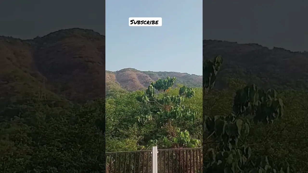 khandala Ghats #shorts #shortsfeed #viral