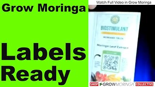 Moringa Tree Starter Kits Fulfilled By Members | Get Paid to Ship Moringa Trees | Make a Living