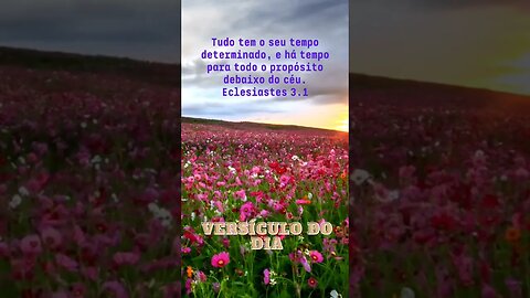 VERSÍCULO DO DIA 26/01/2023.#shorts
