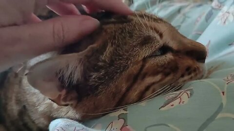 So tired...